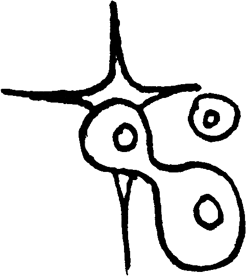 globpurity icon